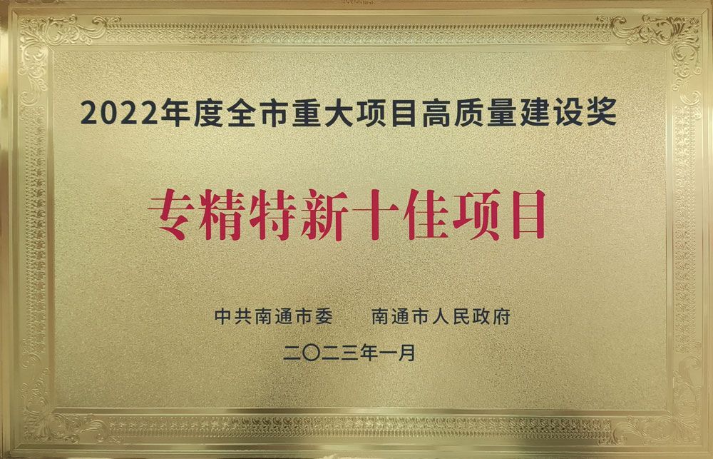 2022年度全市重大项目高质量建设奖